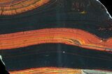 Polished Tiger Iron Stromatolite - ( Billion Years) #75816-1